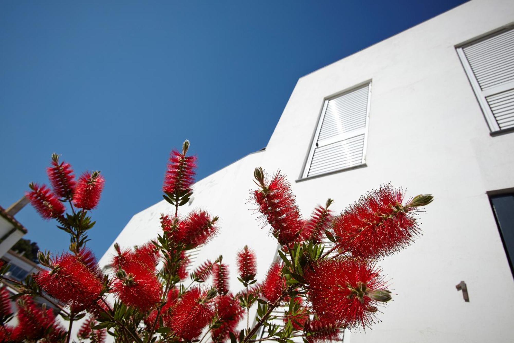 קדאקז Canvas Apartments&Lofts מראה חיצוני תמונה